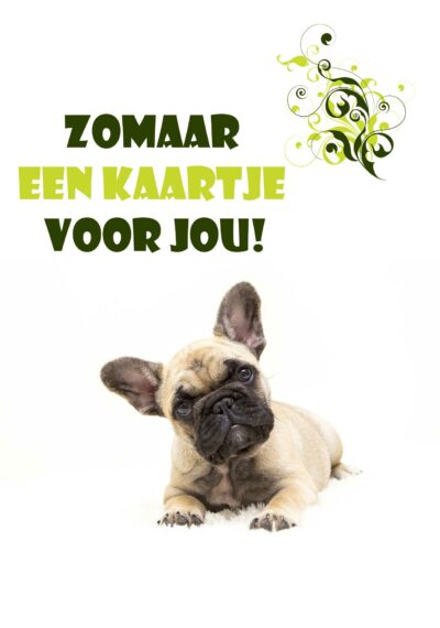 zomaar een kaartje voor jou kaart