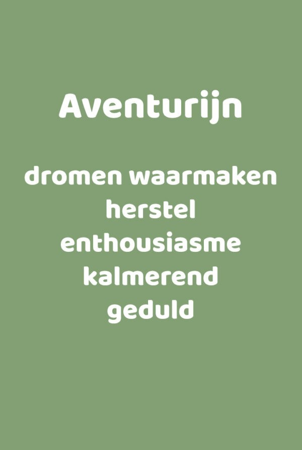 Betekeniskaartje Aventurijn